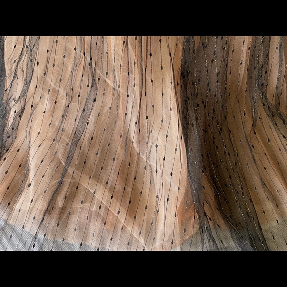 Ellassay Sleeveless Mesh Maxi Gown - Picture 4 of 9